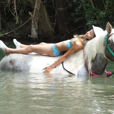 16 Chemin Des Ratequats *