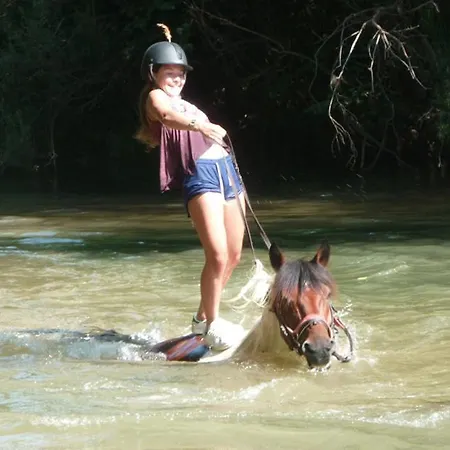 16 Chemin Des Ratequats